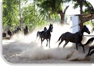 Adventure Sports in Rajasthan