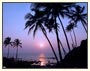 Colourful Rajasthan Tour With Golden Beaches of Goa